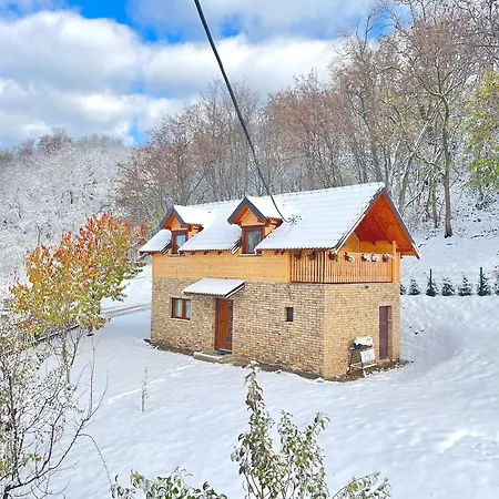Vikend Kuca Pod Lipom Villa Rudnik Exterior photo